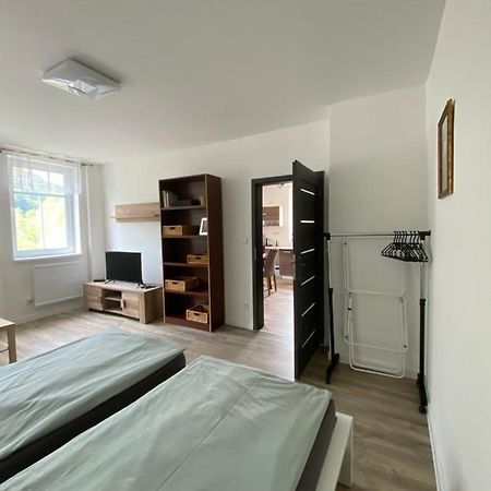 Apartmány U Viaduktu 46 Ústí nad Labem Exterior foto